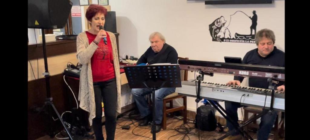 Pensiunea Mila 2 Суліна Екстер'єр фото